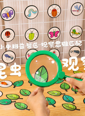 昆虫放大镜幼儿园科学实验探索玩教具小中大班科学区域投放材料