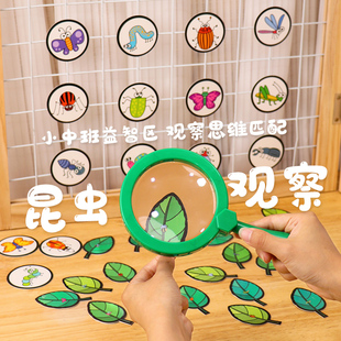 昆虫放大镜幼儿园科学实验探索玩教具小中大班科学区域投放材料