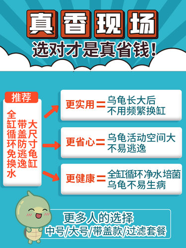 宠尚天 带缸龟缸送2只小乌龟活物活体龟盆巴西龟宠物龟中华草龟
