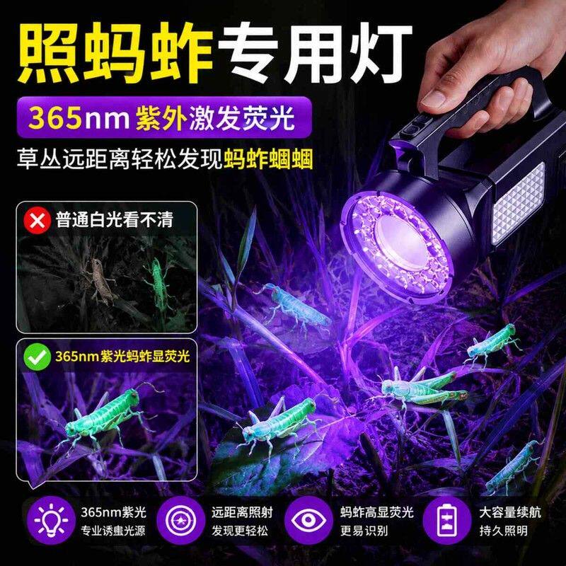 照蚂蚱专用灯照蝈蝈蝎子强光灯探照灯超亮防水高流明大容量户外灯