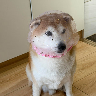 狗嘴套防误食头纱中小型犬外出遛狗嘴罩比熊柴犬宠物防舔防乱吃