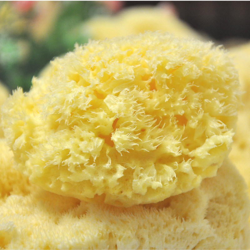 希腊地中海天然海绵 海藻棉 卸面膜洗脸婴儿成人洗澡 脱色蜂窝绵