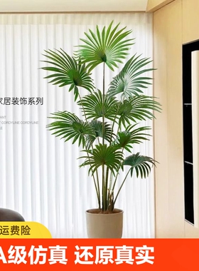真绿植蒲葵假植物室内大型落地盆栽高级摆件装饰品高端轻奢花树