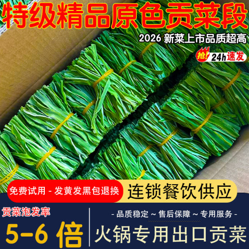 精品贡菜切段商用批发