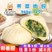 和善园荠菜肉包早点速冻半成品猪肉菜包营养早餐包子面食餐饮商用
