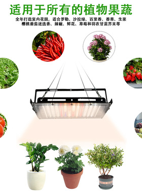 Full spectrum plant fill light LED imitates sunlight生长灯