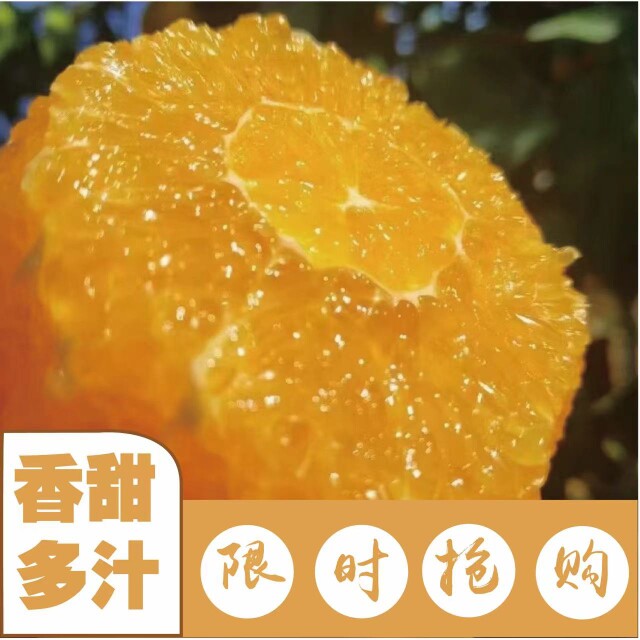 江西正宗橙子赣南脐橙新鲜水果当季水果10斤20斤甜橙现摘现发货高性价比高么？