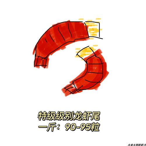 特A干冻龙虾尾2026送调料包大吉大利虾虾力顺丰包邮