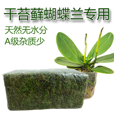 干苔藓蝴蝶兰专用营养土青苔水苔