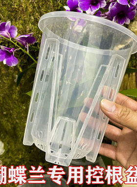 透明气柱控根盆绿植盆栽包邮