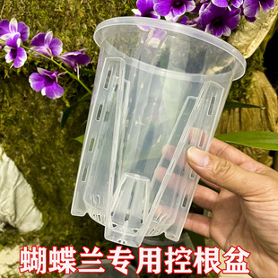 扦插种植盆 新款 透明气柱控根花盆青山盆绿植盆栽石斛蝴蝶兰花月季