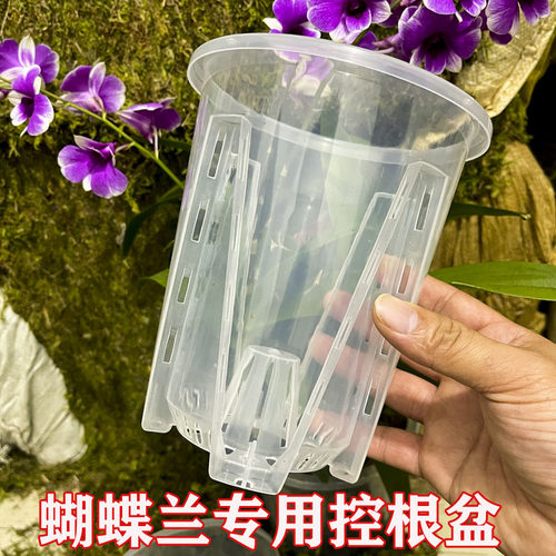 透明气柱控根盆绿植盆栽包邮