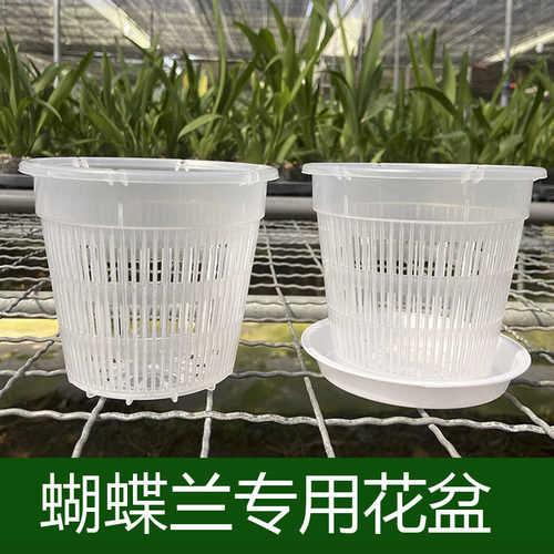 蝴蝶兰花花盆塑料花盆透气控根盆