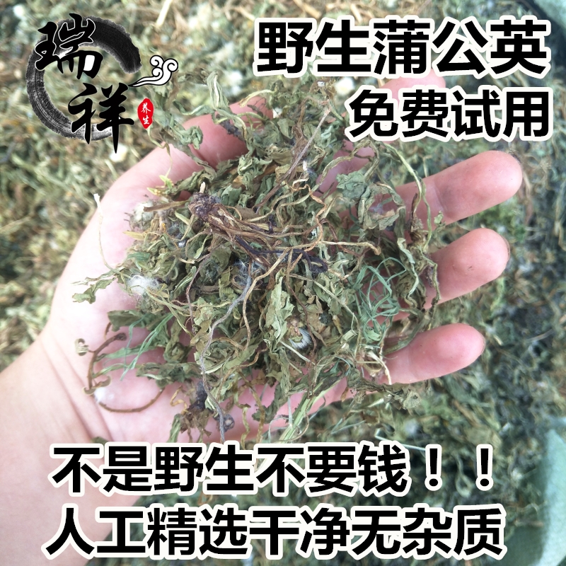 农家特级婆婆丁蒲公英根500g包邮