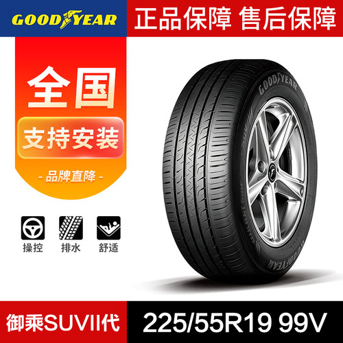 固特异汽车轮胎225/55R1999V