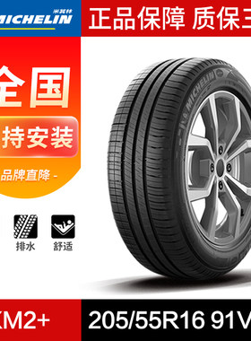 米其林轮胎205/55R1691V