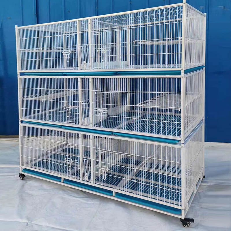 观赏养殖鸽子笼大型三层6格子飞行笼间隙繁育配对鸟笼鸽舍食槽