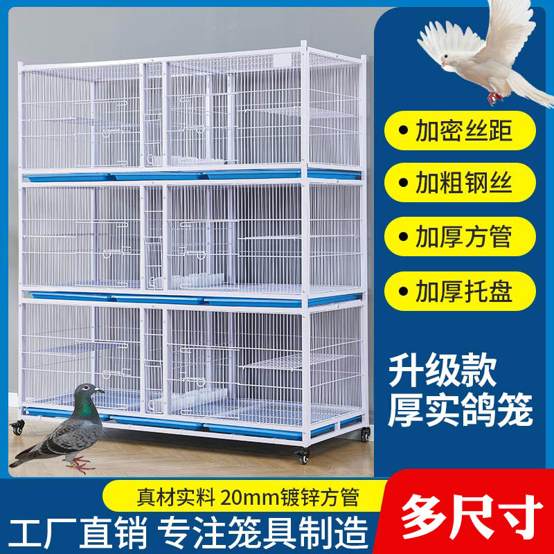 鸽笼加粗加密防黄鼠狼配对信鸽