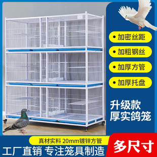 精品鸽笼加粗加密间距鸽子笼配对笼信鸽笼鸡笼鸽大号防老鼠黄鼠狼