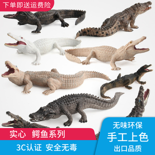 实心仿真扬子鳄模型儿童玩具野生动物园鳄鱼尼罗鳄野猪鳄短吻鳄等