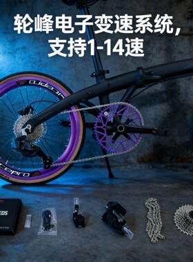 轮峰wheeltop自行车配件无线电变修补件EDS公路车后拨支持1-14速