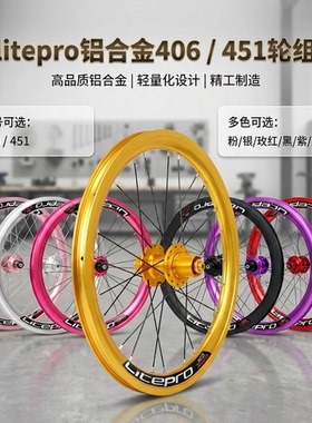 LP litepro高框刀圈轮组变速轮毂349 406 451碟刹风行P8 P10改装