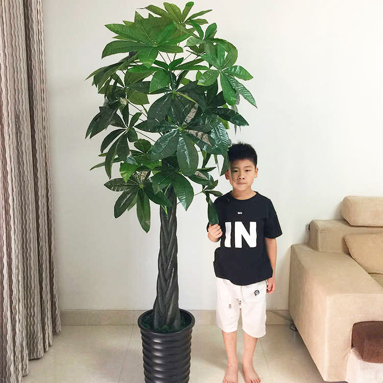 indoor Green plant Fake trees Pachira simulation Botany large to ground Potted plant Plastic decorate Artificial flower simulation Botanyin the Home accessories , Vase/Flower/Artificial flowers/Imitation jewelry , Bonsai plant simulation  category - from Buy2taobao.com to provide professional Taobao agent buy service