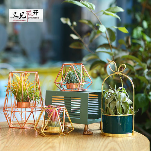 空气凤梨铁艺玫瑰金架子