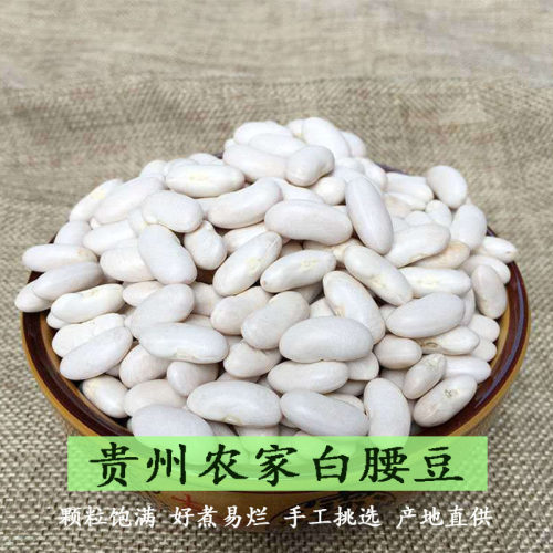 白芸豆贵州二白豆新豆包邮