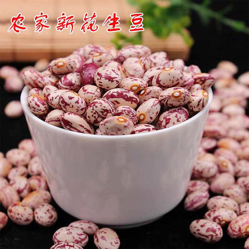【新豆】贵州农家雀蛋豆奶花芸豆