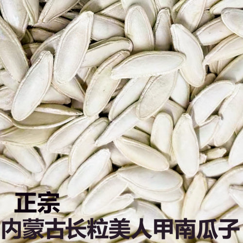 美人甲南瓜子新货内蒙大颗粒新鲜带壳原味大白长片长粒南瓜籽发批
