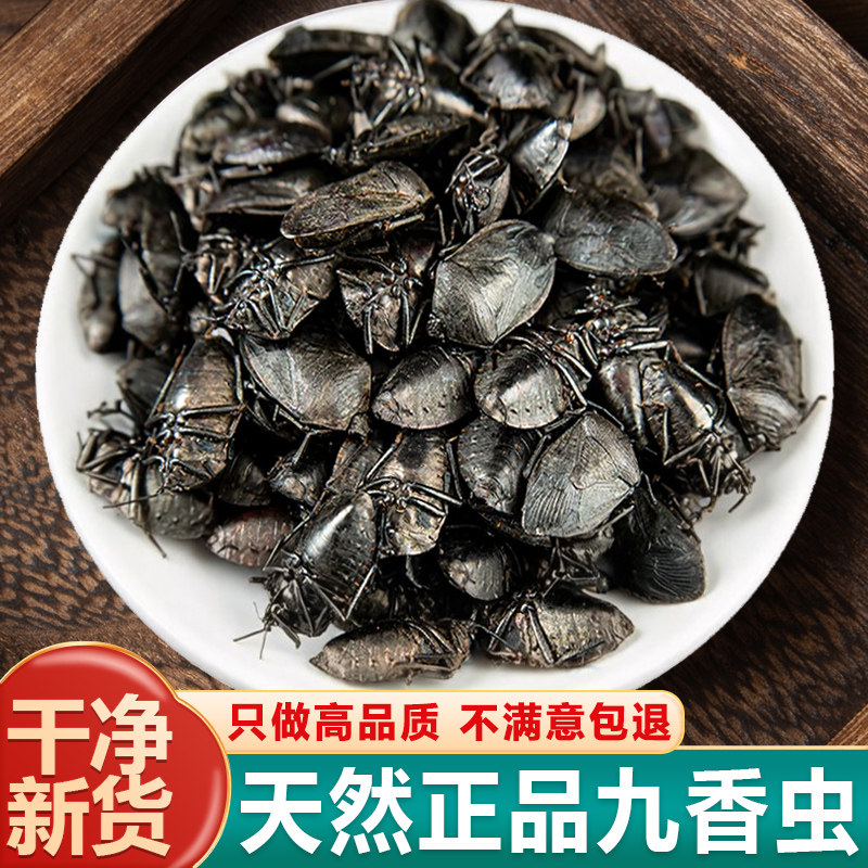 正品九香虫中药材500g打屁虫