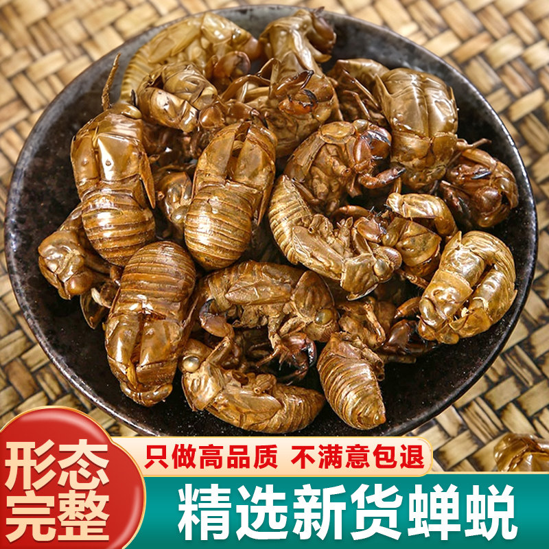正宗野生蝉蜕中药材500g