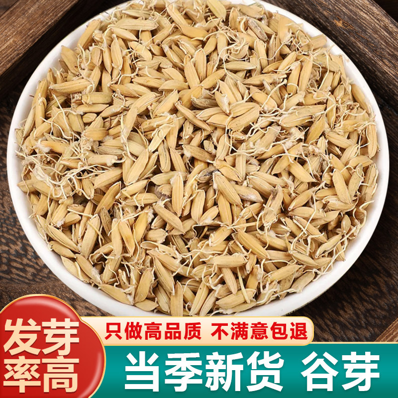 生谷芽500g新鲜干货中药材包邮