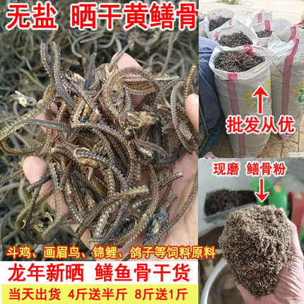包邮无盐黄鳝骨头干货晒干鳝鱼骨磨粉压颗粒斗鸡画眉鸟食原料500g