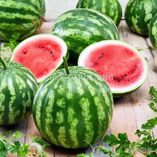 西瓜 甜树莓 每份3粒 蔬菜农作物一年生植物阳台盆栽地栽