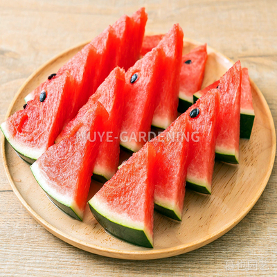 西瓜盲盒图片遗失优惠价 每份4粒 蔬菜农作物一年生植物阳台地栽