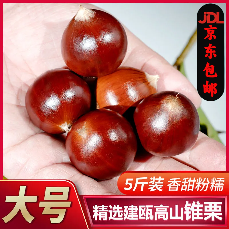 建瓯高山锥栗生新鲜板栗
