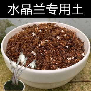 水晶兰土水晶兰专用土酸性土椰糠泥炭土壤盆栽种植通用营养土花肥