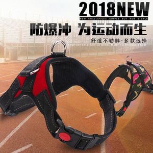狗狗胸背带边牧马犬牵引绳项圈胸背套装可伸缩拉布拉多金毛牵引绳