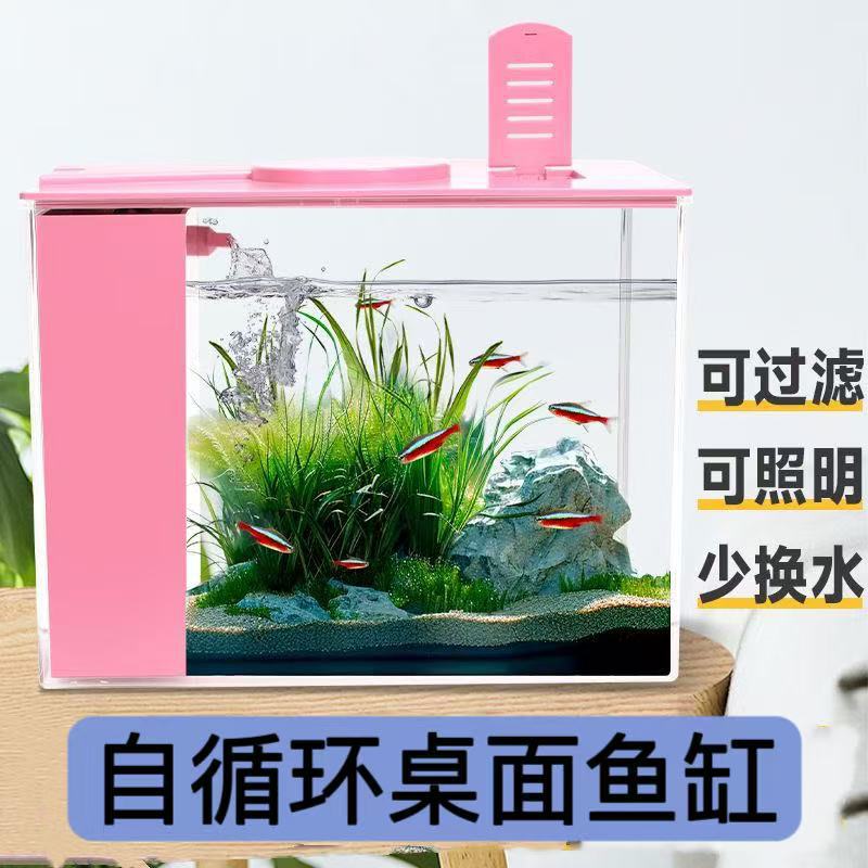桌面鱼缸客厅办公室生态