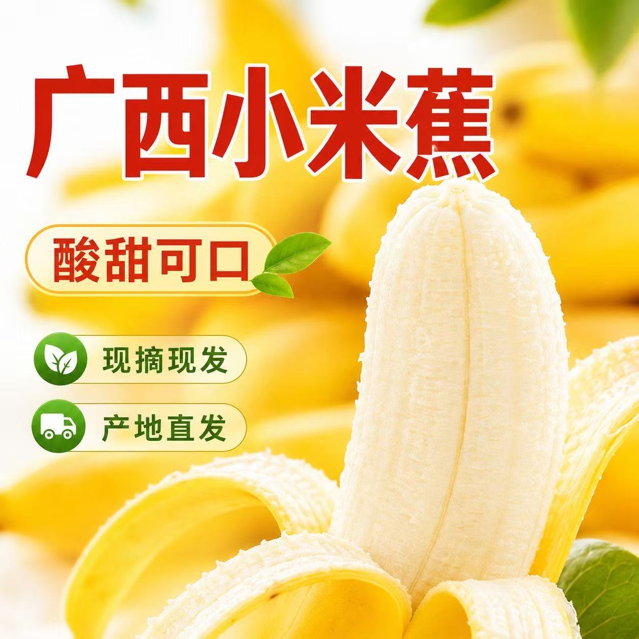 广西小米蕉现摘香甜散装
