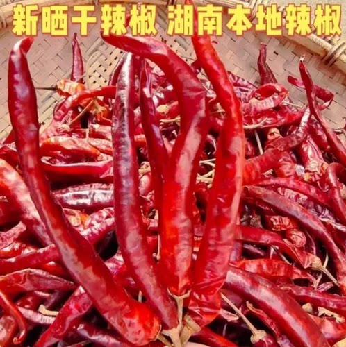【湖南干辣椒热销】湖南本地干辣椒红辣椒线椒干货二荆条辣椒粉