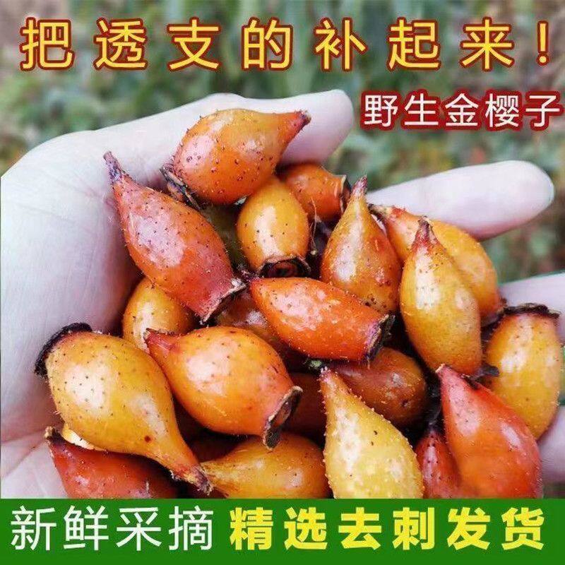 金樱子野生新鲜现摘农家刺梨成熟果去刺特级糖梨子泡茶泡酒中药材