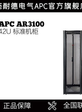 施耐德（APC）42U 标准机柜 AR3100 UPS机柜