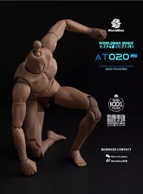 现货Worldbox 1/6 耐操兵人素体模型 头雕通用升级版 AT020 Pro