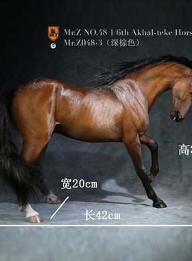 Mr.Z 1/6汗血宝马阿哈尔捷金马仿真骏马模型树脂摆件兵人坐骑战马