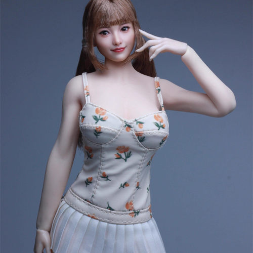 现货Z6TOYS 1比6 兵人 亚洲可动眼 笑容美女头雕 甜甜 ZC021