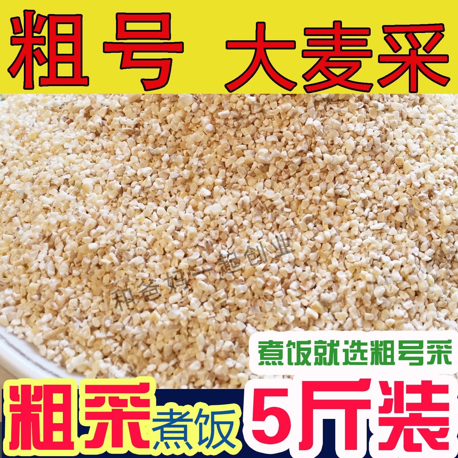 苏北特产盐城建湖大麦采子大麦糁大麦彩子煮饭采子大麦采5斤