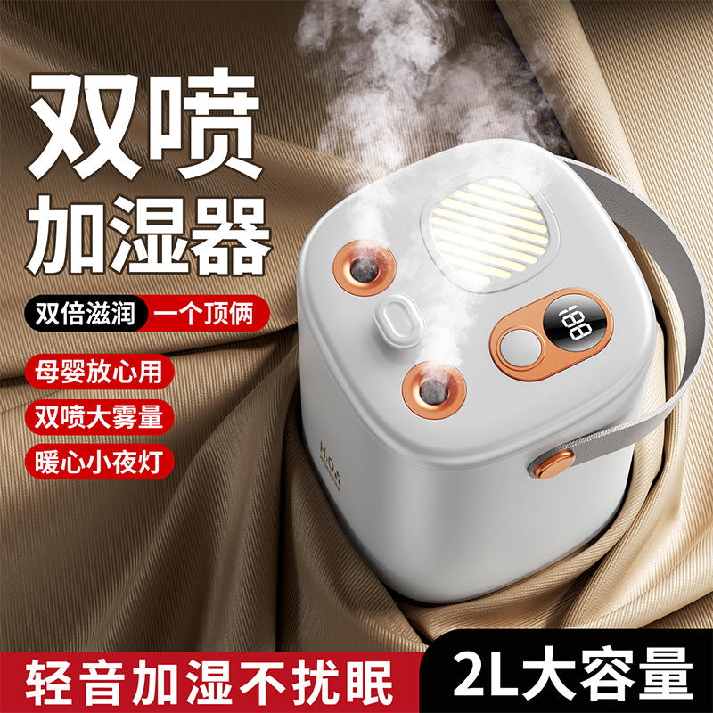 2025新款usb充电双孔喷雾加湿器